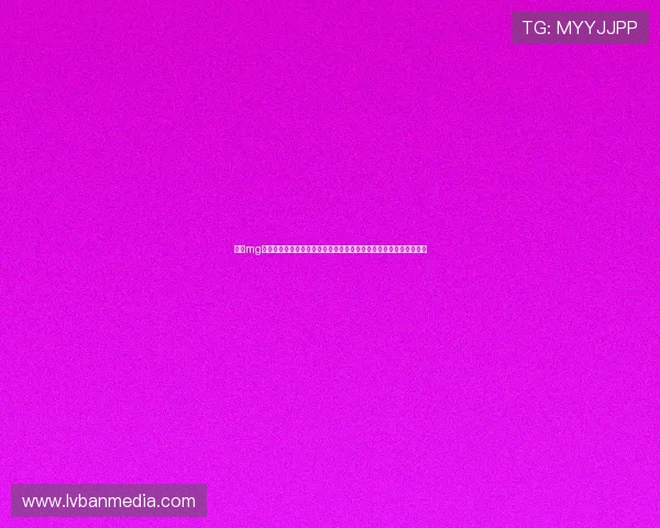 真人mg正版赛事资讯：全面报道世界杯最新动态、赛程安排与热点话题分析