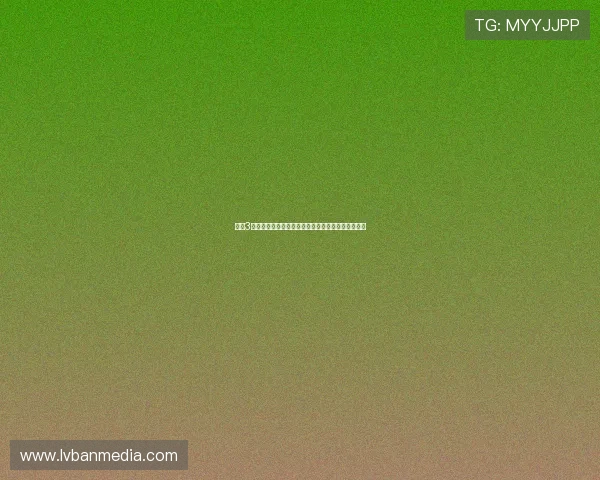 伯爵3娱乐：聚焦世界杯赛场上的精彩瞬间与明星娱乐报道